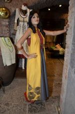 at Kiran and Meghna_s MYOHO Wills Lifestyle Autumn Winter 2013 collection showcase in Melange, Mumbai on 9th March 2013 (43).JPG